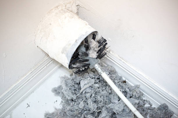 Best Home Air Vent Cleaning  in Pinewood, FL